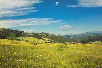Obraz premium Idyllic landscape in the Alps with fresh green meadows and blooming flowers and snow-capped mountain tops in the background. Retro color.