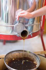 Honey from the hive making in honeycombs  - close up of honey ma