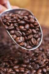 coffee beans