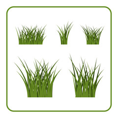 Green grass bushes set. Nature plant background. Collection silhouettes isolated on white. Symbol of field, lawn, spring and meadow, fresh, summer. Elements for design environment. Vector illustration
