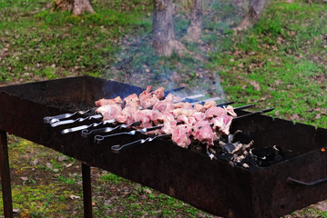 Kebab on Spits Grilled on Barbecue Grate. Green Grass in the Background.