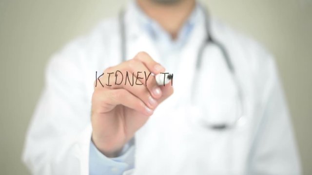 Kidney Transplant , Doctor writing on transparent screen