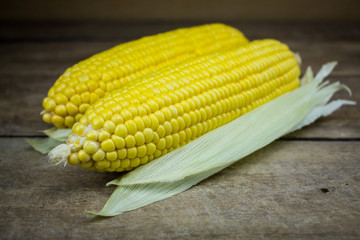 fresh corn on wooden table