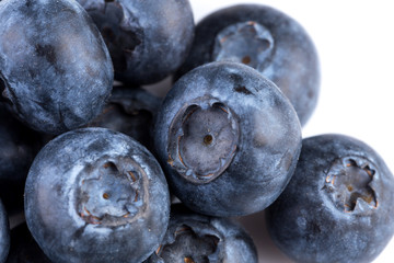 Blueberries on white background