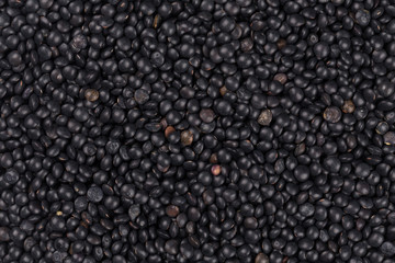 black lentils background closeup