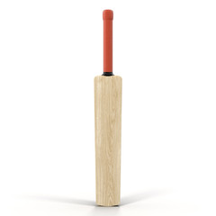 Traditional wood cricket bat isolated on white 3D Illustration - 111336846