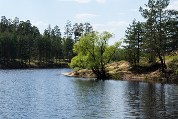 Fototapeta na wymiar Lake in the forest and wood in Kurowski