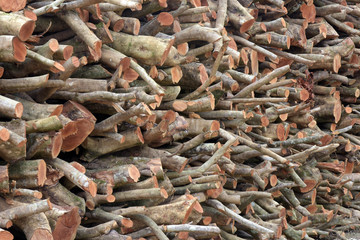 Firewood stock for the wood stove of traditional cooking