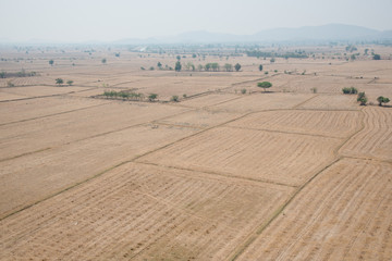 Obraz premium Empty land from agriculture in the summer