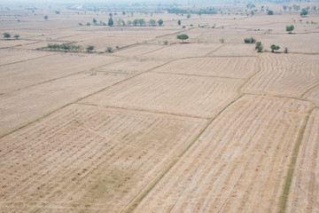 Empty land from agriculture in the summer