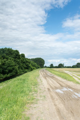 Soil road by the forest with blue sky