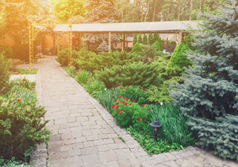 Obraz premium Landscape design, evergreen bushes and path 