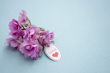 Fototapeta na wymiar Bouquet of violets on a pink background