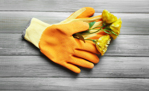 Beautiful composition of flower and garden gloves on grey wooden background
