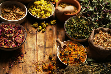 Assortment of dry medicinal herbs in bowls on wooden background top view