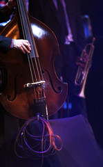 Concert at the stage