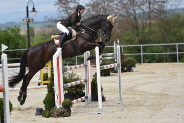 Show jumping
