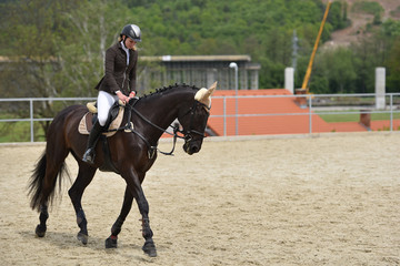 Show jumping