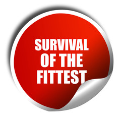 survival of the fittest, 3D rendering, red sticker with white te