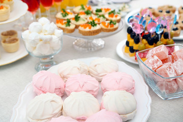 Set of cold snacks, canape, beverages and dessert, closeup