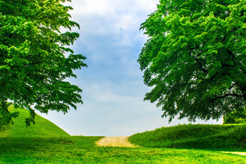 Obraz premium Trees, road, sky.