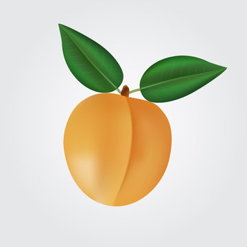 Peach with leaves on white background