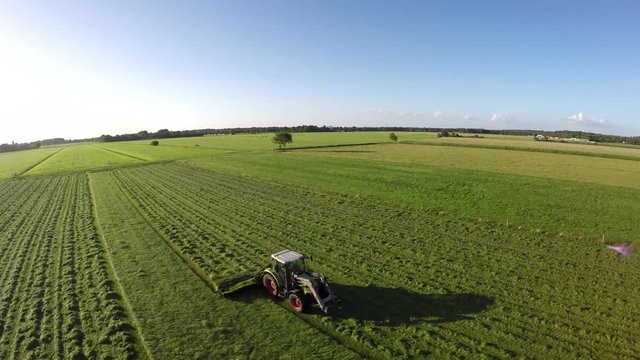 Drone flight aerial bird eye view of a tractor mowing grass on a beautiful green field and blue sky with a tree in the background helicopter view and using very high resolution 4k camera