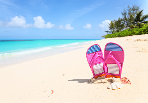 Pink flip-flops and sea shells on a sunny beach..Tropical beach vacation and travel concept.