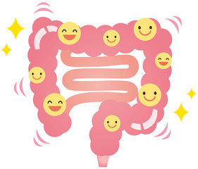 腸　善玉菌　乳酸菌　健康