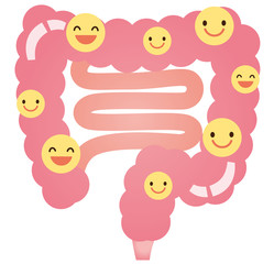 腸　善玉菌　乳酸菌　健康