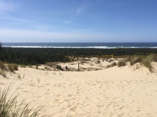 dunes sea view