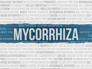 Mycorrhiza