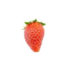 Strawberry fruit on white background