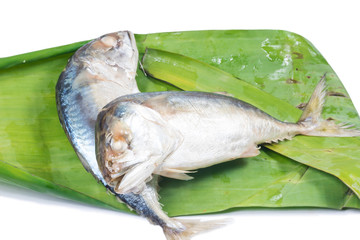 Fish mackerel isolate on white
