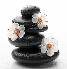 Stack of spa hot stones and flowers isolated on white