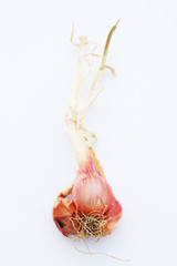 Shallots isolated on white background 