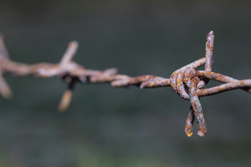 Rusty barbed wire in Thailand farm
