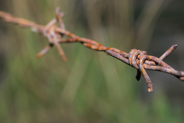 Rusty barbed wire in Thailand farm
