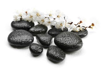 Fototapeta na wymiar Spa stones with blooming branch on white background