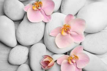 Spa stones and orchid flowers closeup