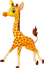 Cute giraffe cartoon © ekyaky