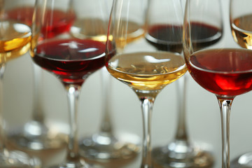 Many glasses of different wine in a row, close up