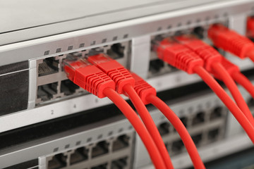 Red Ethernet cables connected to network switch, close up - obrazy, fototapety, plakaty