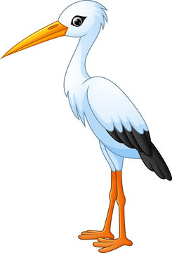 cartoon white stork