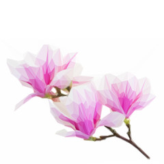 Low poly Blossoming pink magnolia Flowers