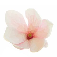 Low poly Blossoming pink magnolia Flowers