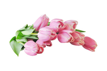  Pink tulips bouquet isolated on white background. Spring flower
