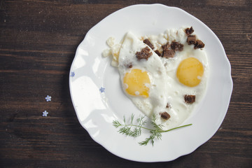 Eggs for the child, fox muzzle shape