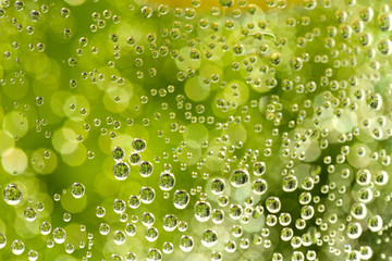 Fototapety  zielone abstrakcyjne tło z kroplami wody