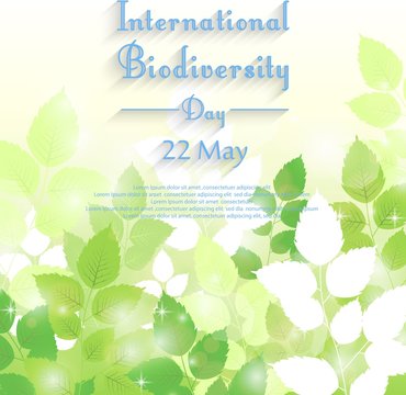 Biodiversity international day background with fresh green leaves
